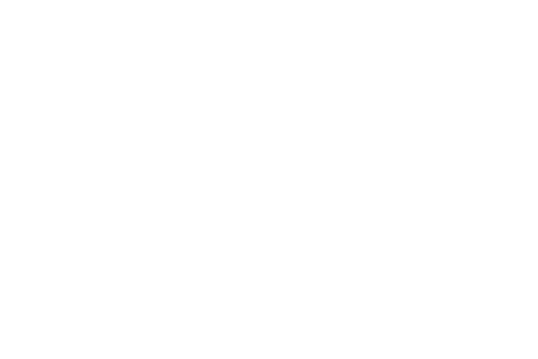 Logo_BroeskeBaudienstleistungenOG_negativ_ohne-Text